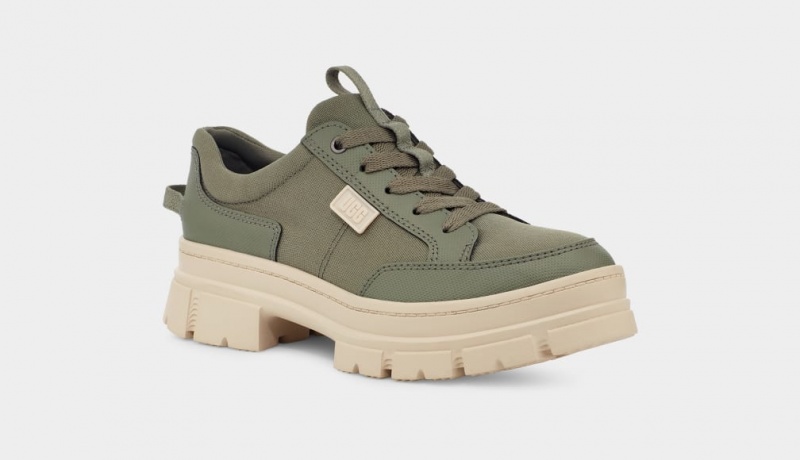 Ugg Ashton Hybrid Women's Sneakers Green | PVRFHMK-49