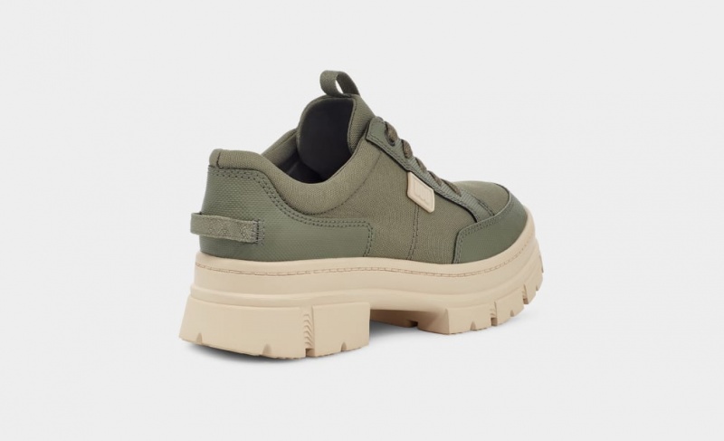 Ugg Ashton Hybrid Women's Sneakers Green | PVRFHMK-49