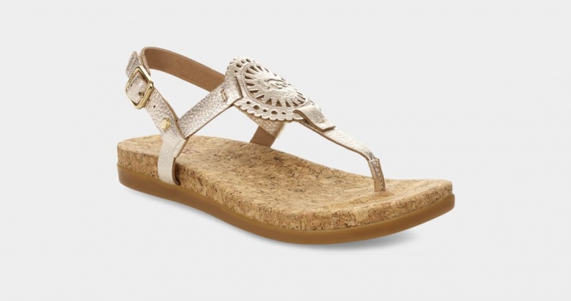 Ugg Ayden II Metallic Women's Sandals Gold | RNIFYDS-74