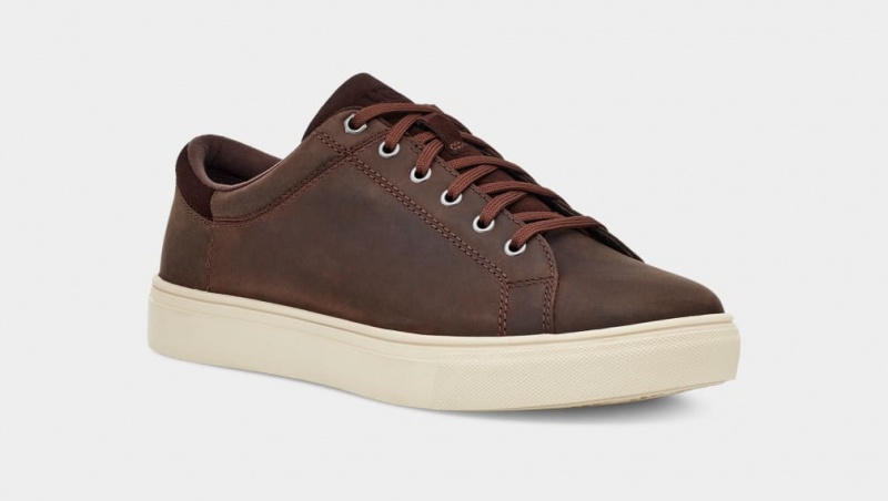 Ugg Baysider Low Weather Men's Sneakers Brown | EVKTYBN-64