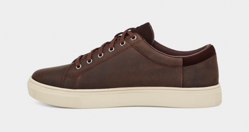 Ugg Baysider Low Weather Men's Sneakers Brown | EVKTYBN-64