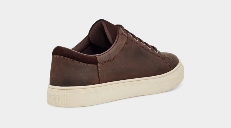 Ugg Baysider Low Weather Men's Sneakers Brown | EVKTYBN-64