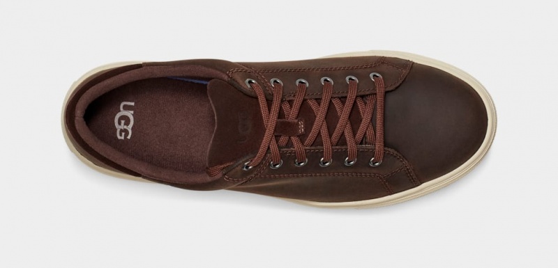 Ugg Baysider Low Weather Men's Sneakers Brown | EVKTYBN-64