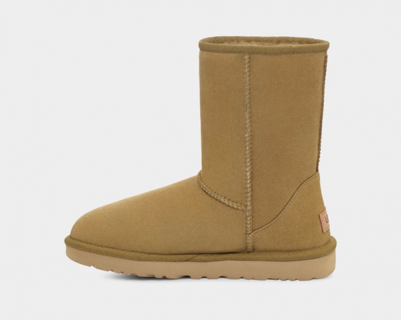 Ugg Classic II Women's Boots Brown | PYIXKJR-37