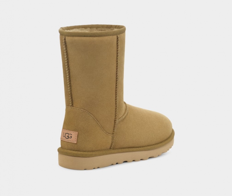 Ugg Classic II Women's Boots Brown | PYIXKJR-37