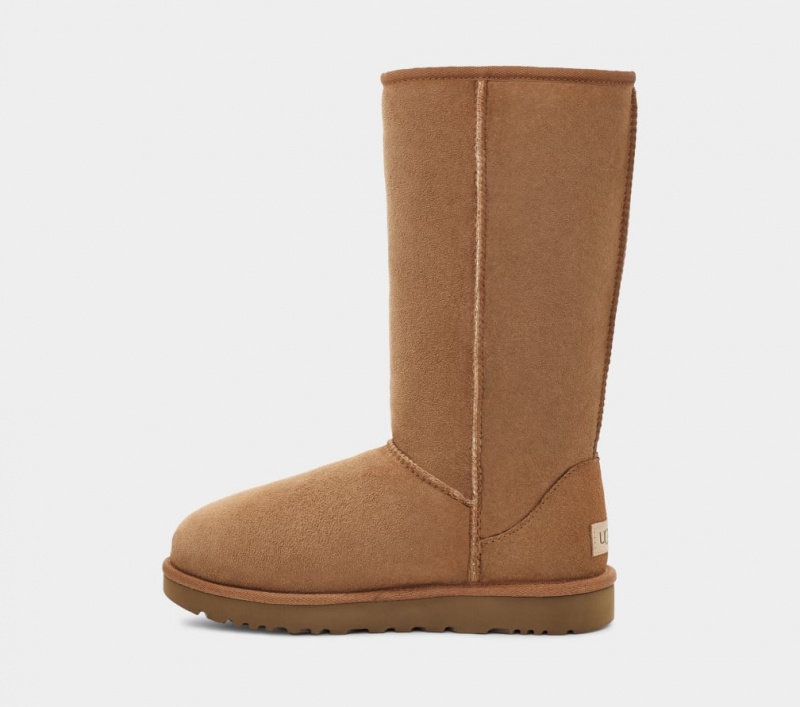 Ugg Classic Tall II Women's Boots Brown | OJAQLNH-12