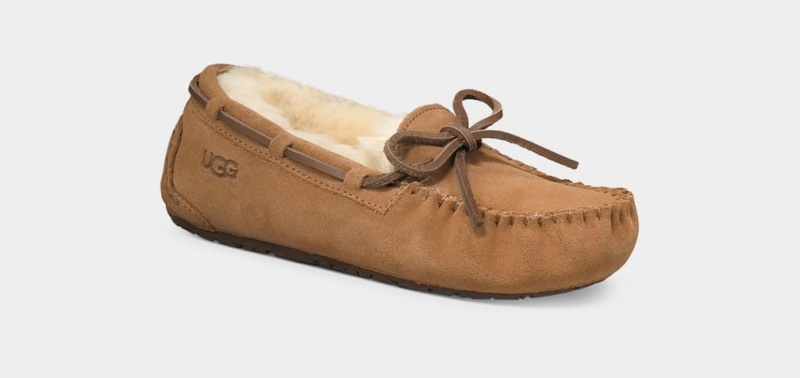 Ugg Dakota Kids' Slippers Brown | WEXGRJC-74