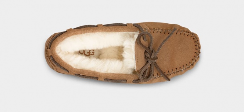 Ugg Dakota Kids' Slippers Brown | WEXGRJC-74