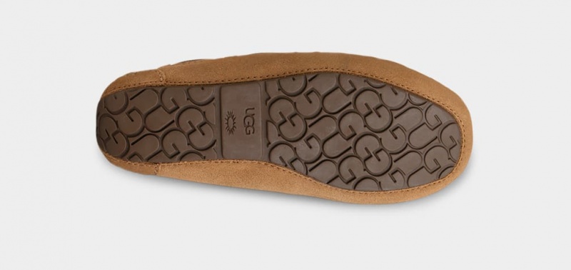 Ugg Dakota Kids' Slippers Brown | WEXGRJC-74