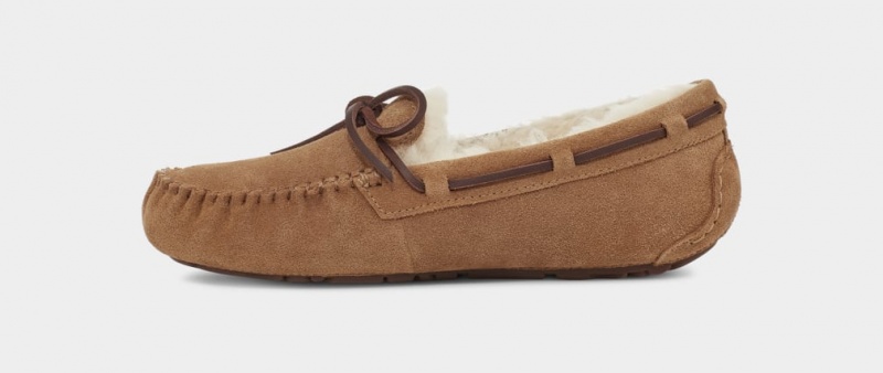 Ugg Dakota Women's Slippers Brown | QOBCXVT-93