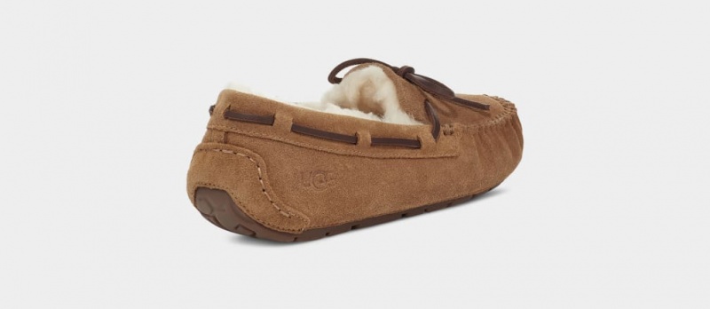 Ugg Dakota Women's Slippers Brown | QOBCXVT-93