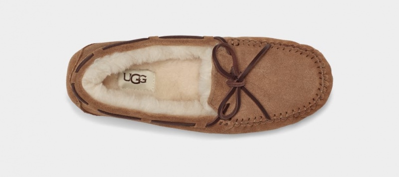 Ugg Dakota Women's Slippers Brown | QOBCXVT-93