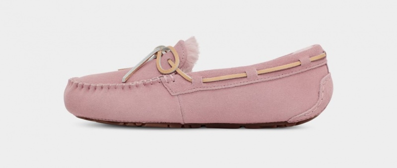 Ugg Dakota Women's Slippers Rose / Grey | RBOAMVE-83