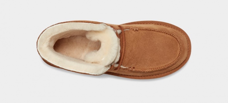 Ugg Diara Women's Moccasins Brown | BNEVMXK-26