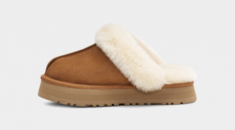 Ugg Disquette Women's Slippers Brown | DAGZUVF-03