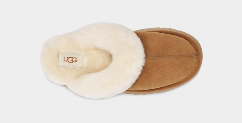 Ugg Disquette Women's Slippers Brown | DAGZUVF-03