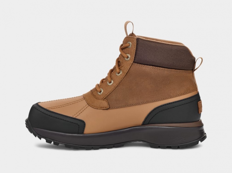 Ugg Emmett Duck Men's Boots Brown | RMKIONL-67