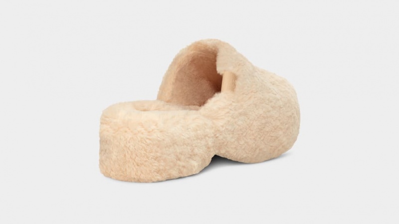 Ugg Fuzz Sugar Women's Clogs Beige | DVJTYPR-78