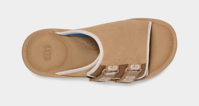 Ugg Goldencoast Strap Men's Slides Brown | FZTCSYI-03