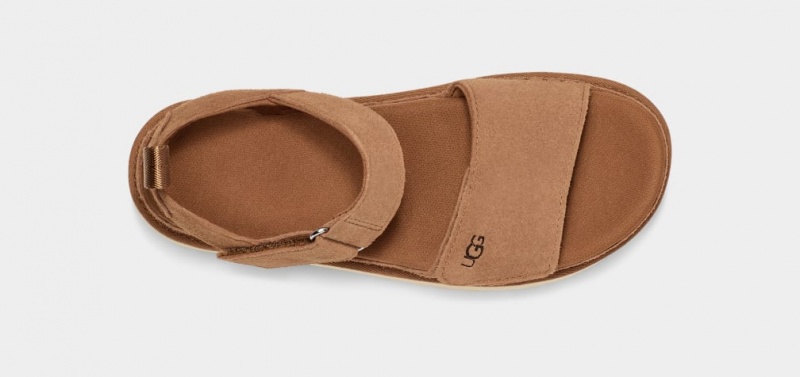 Ugg Goldenstar Women's Sandals Brown | KJTSFUE-93