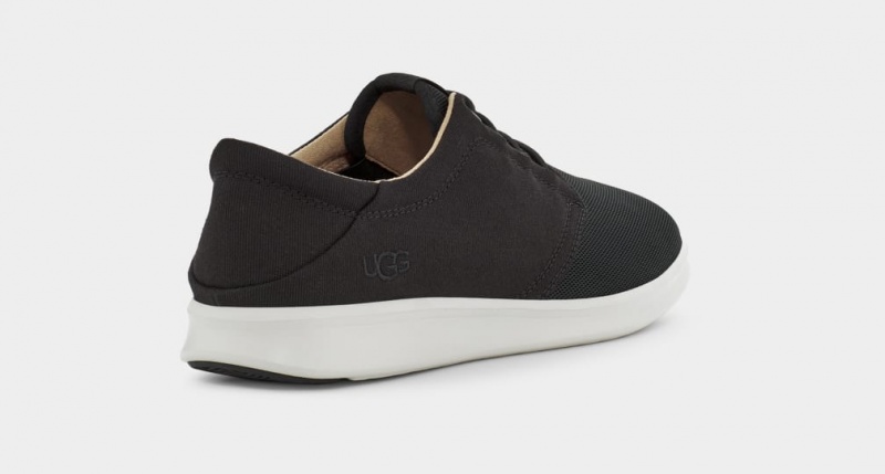 Ugg Greyson Men's Sneakers Black | VFRLETM-45