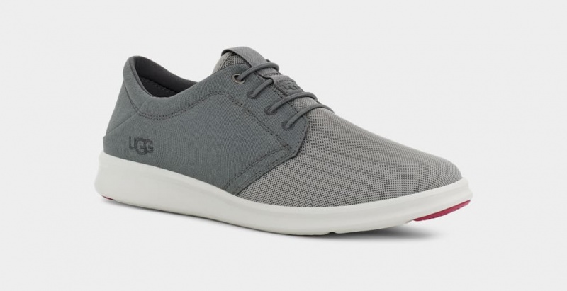 Ugg Greyson Men's Sneakers Grey | FYTLDBW-61