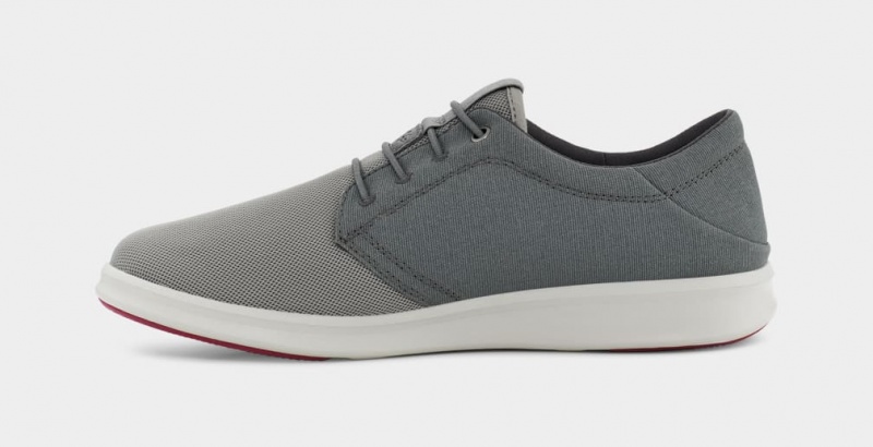 Ugg Greyson Men's Sneakers Grey | FYTLDBW-61