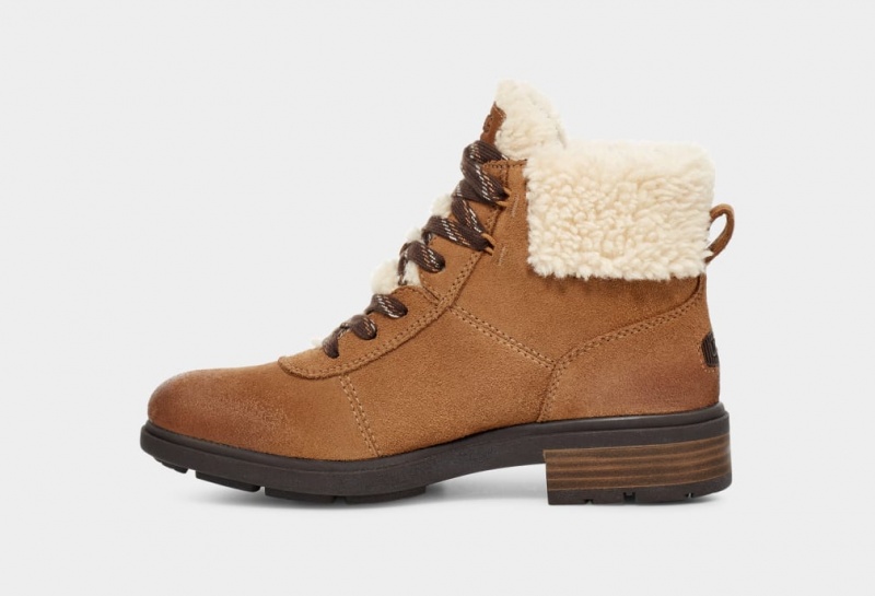 Ugg Harrison Cozy Lace Women's Boots Brown | VPHBGEJ-70