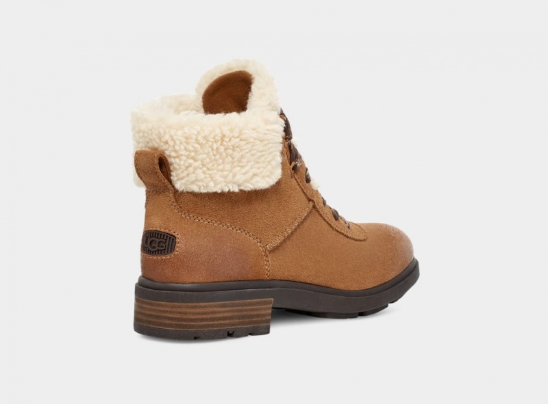 Ugg Harrison Cozy Lace Women's Boots Brown | VPHBGEJ-70