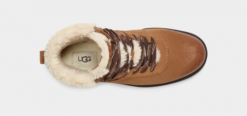 Ugg Harrison Cozy Lace Women's Boots Brown | VPHBGEJ-70