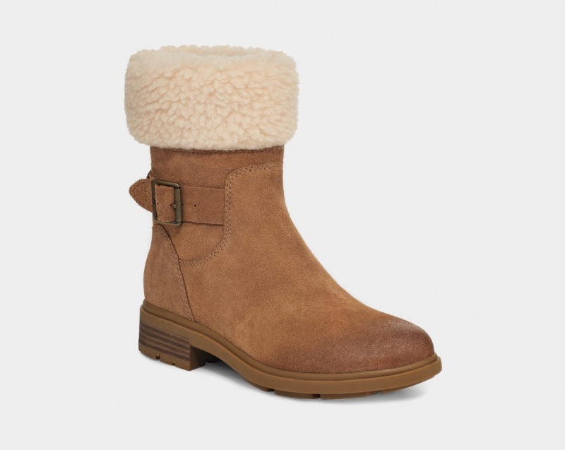 Ugg Harrison Cuff Women's Boots Brown | QBURKIG-64