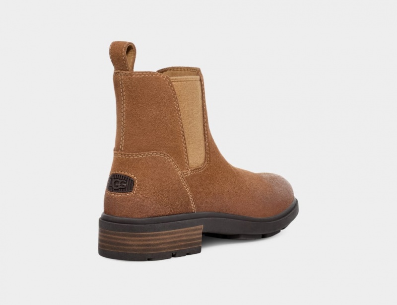 Ugg Harrison Women's Chelsea Boots Brown | MXWPFZQ-37