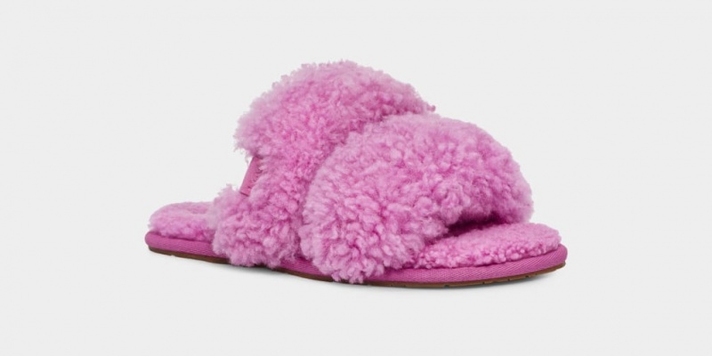 Ugg Maxi Curly Scuffetta Women's Slippers Purple | OAKZFRI-27