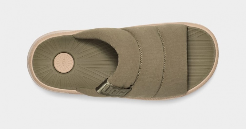 Ugg Maxxer Men's Slides Green | UGJIRHV-59