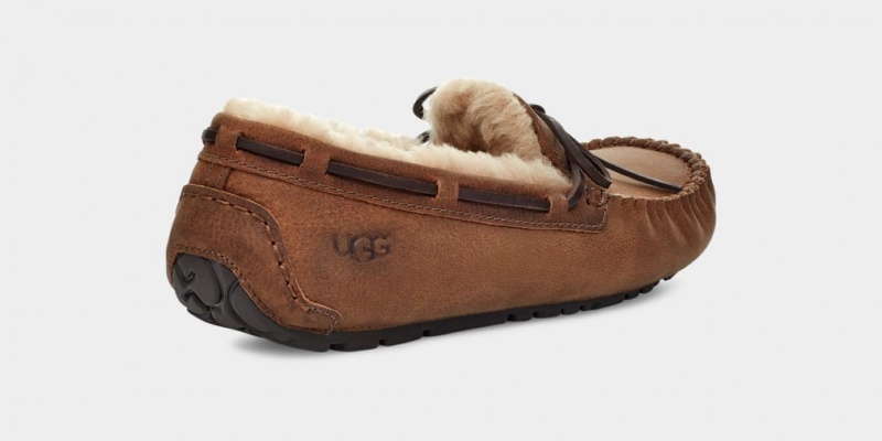 Ugg Olsen Men's Moccasins Brown | VYSNGDZ-70