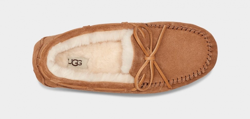 Ugg Olsen Men's Moccasins Brown | WGAMVYI-09