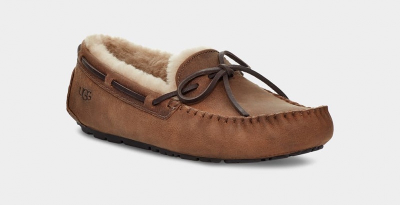 Ugg Olsen Men's Slippers Brown | LASMQKH-27