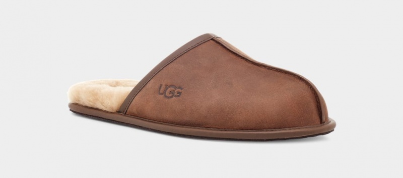 Ugg Scuff Leather Men's Slippers Brown | FIENKWB-29