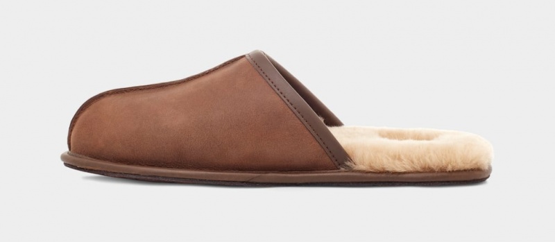 Ugg Scuff Leather Men's Slippers Brown | FIENKWB-29