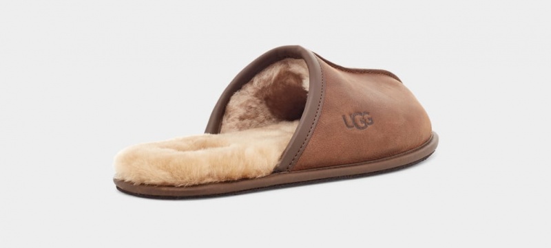 Ugg Scuff Leather Men's Slippers Brown | FIENKWB-29