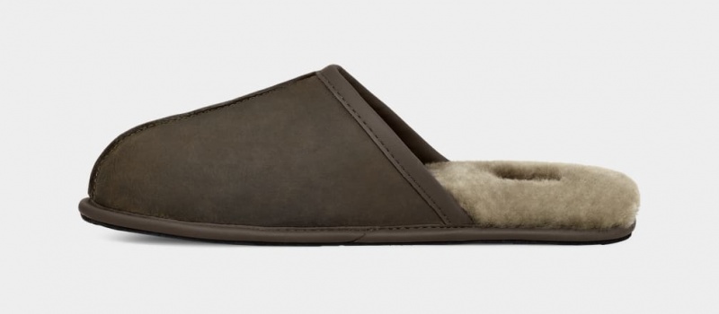 Ugg Scuff Leather Men's Slippers Olive | ASFNLRP-96