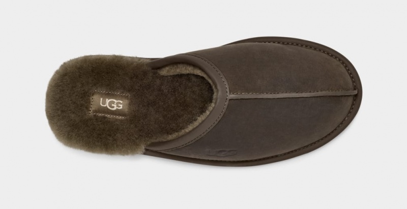 Ugg Scuff Leather Men's Slippers Olive | ASFNLRP-96