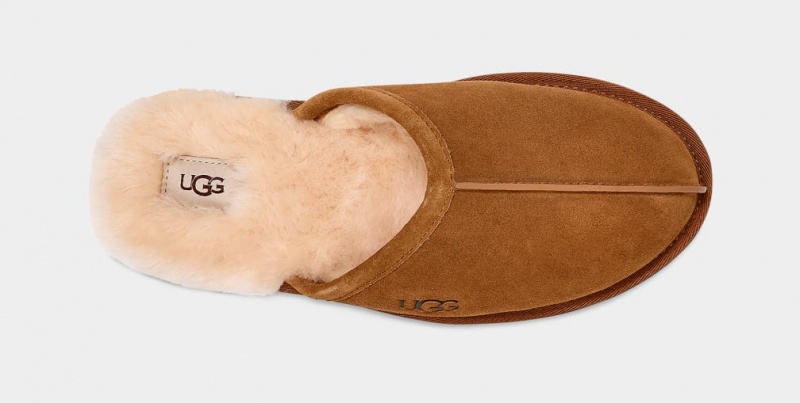 Ugg Scuff Men's Slippers Brown | DLUNCYI-70