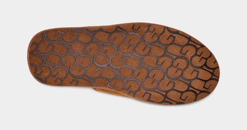 Ugg Scuff Men's Slippers Brown | DLUNCYI-70