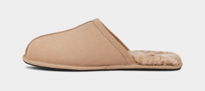 Ugg Scuff Men's Slippers Brown | XDNHYUC-08