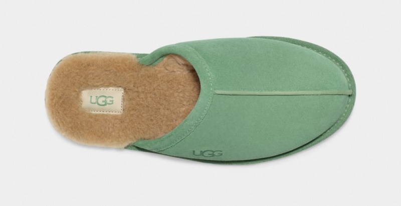 Ugg Scuff Men's Slippers Green | JZWQRXS-35