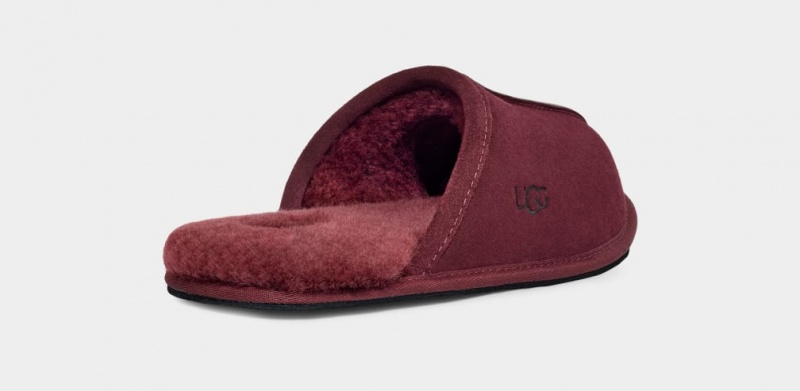 Ugg Scuff Men's Slippers Purple | KXOTYRG-12