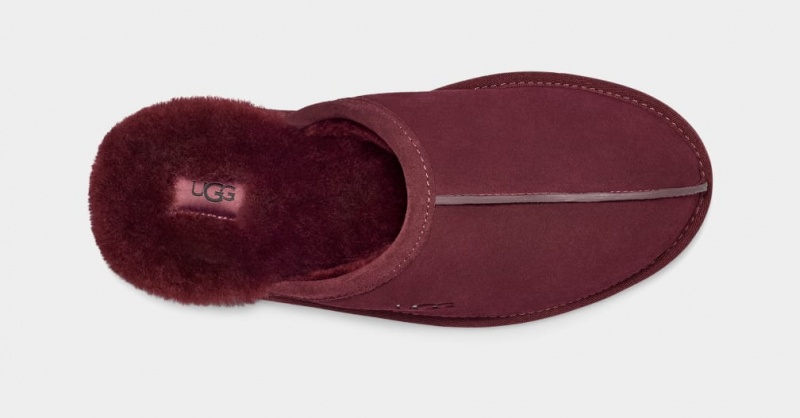 Ugg Scuff Men's Slippers Purple | KXOTYRG-12