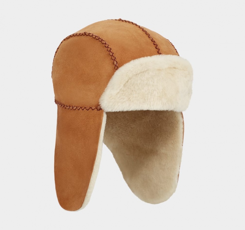 Ugg Sheepskin Trapper with Stitch Kids\' Hats Brown | COFKISJ-32