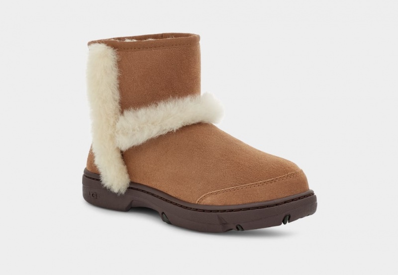 Ugg Sunburst Mini Women's Boots Brown | NUZWQVO-49